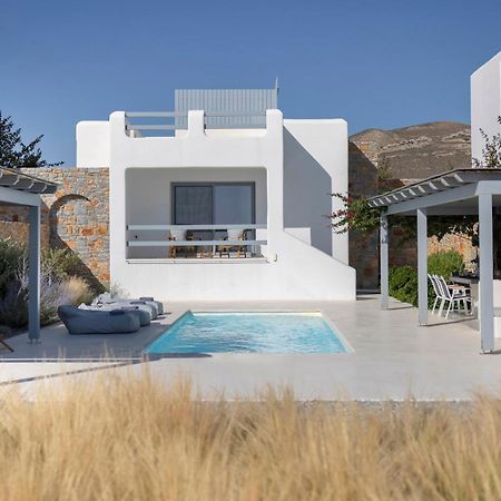 Villa Dione, Private Pool & Seaview By Naxos Dunes Kastrákion エクステリア 写真