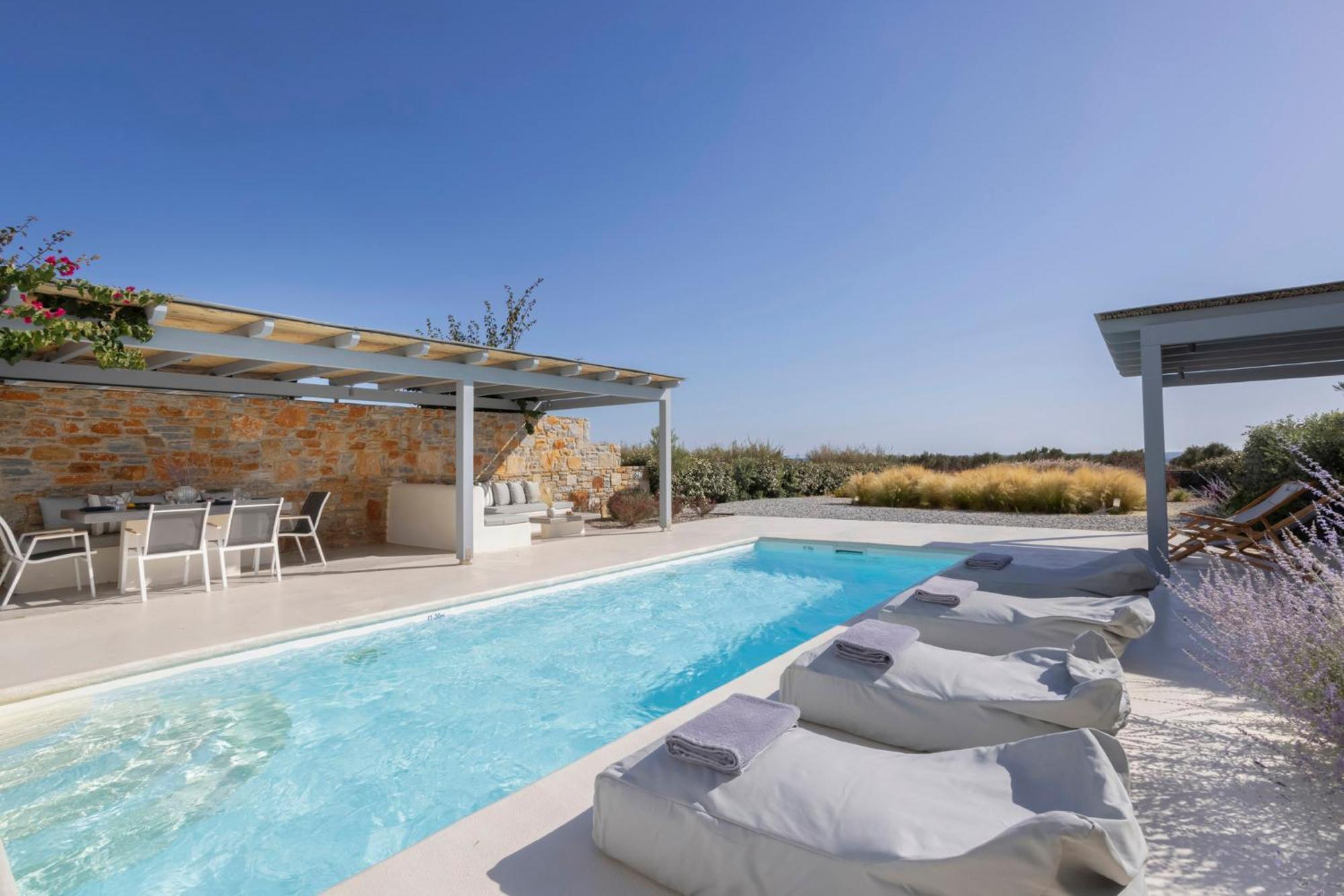 Villa Dione, Private Pool & Seaview By Naxos Dunes Kastrákion エクステリア 写真