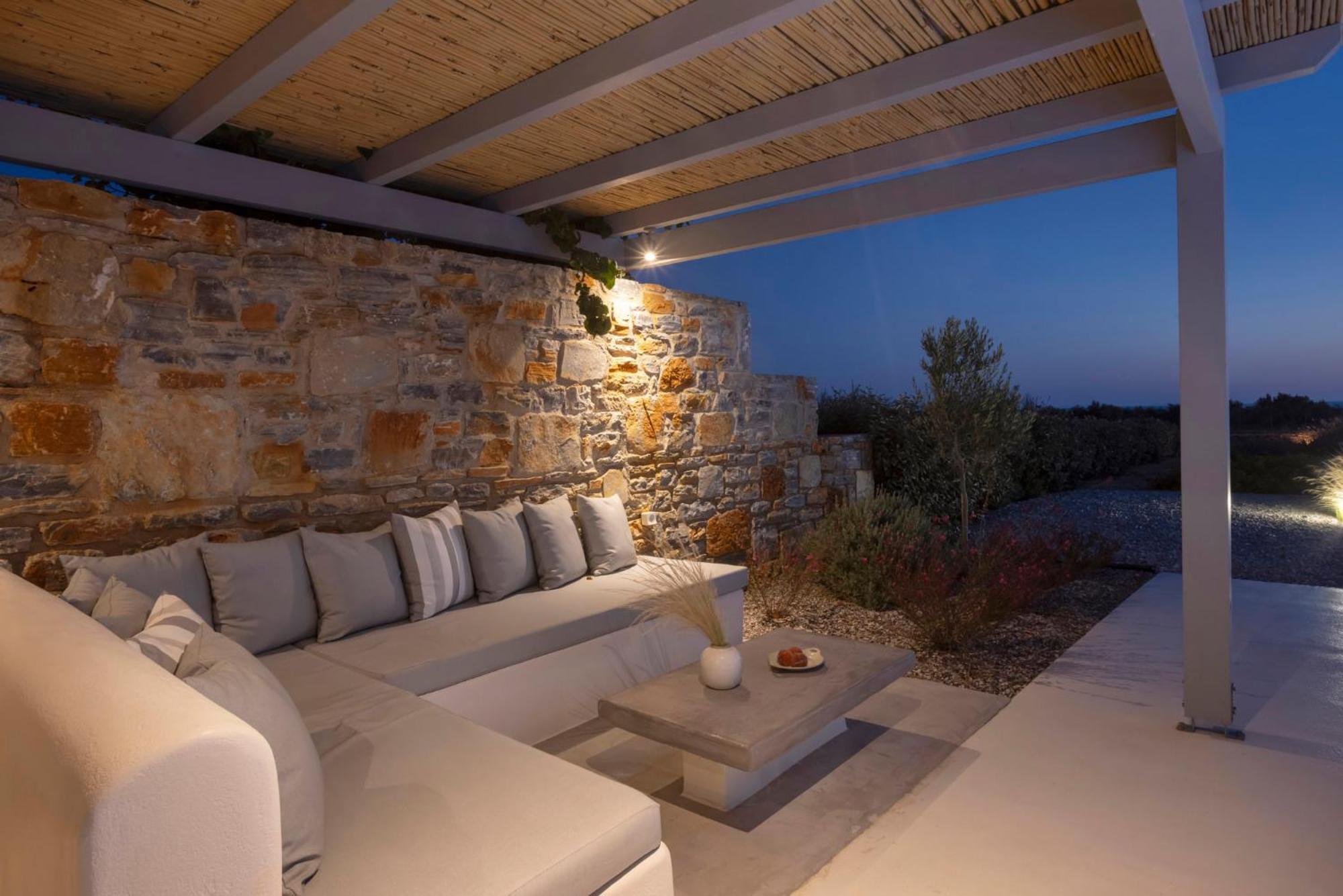 Villa Dione, Private Pool & Seaview By Naxos Dunes Kastrákion エクステリア 写真